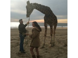 Demi Moore with giraffe